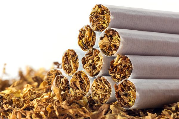 cigarettes in loose tobacco, close up with copy space in the white background