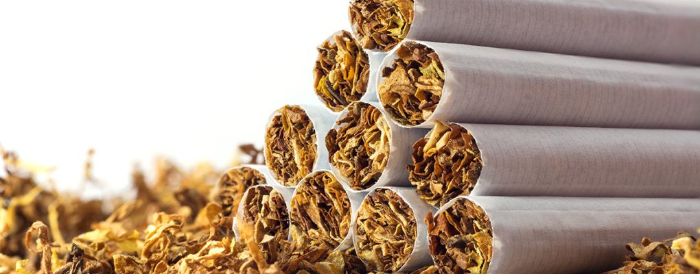 cigarettes in loose tobacco, close up with copy space in the white background